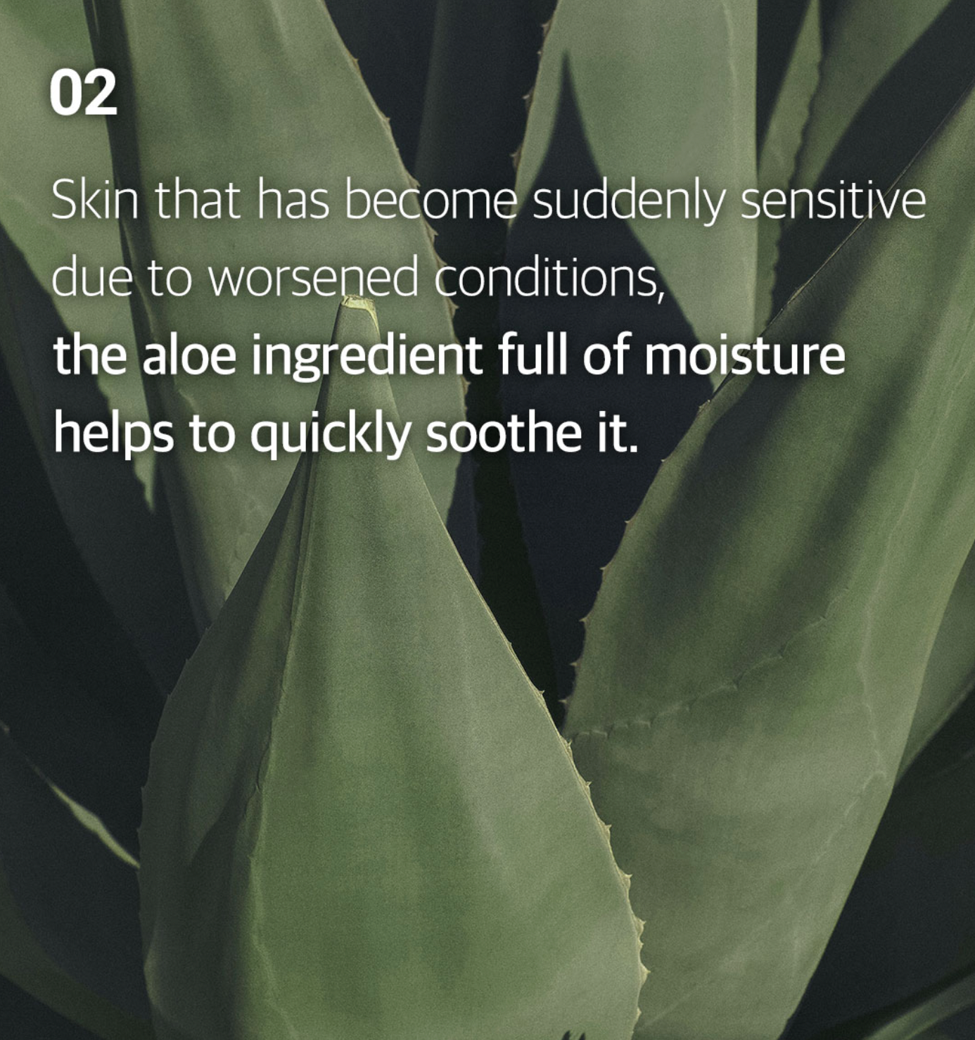 Ariul 7 Days Mask Aloe H- Moisturizing & Soothing