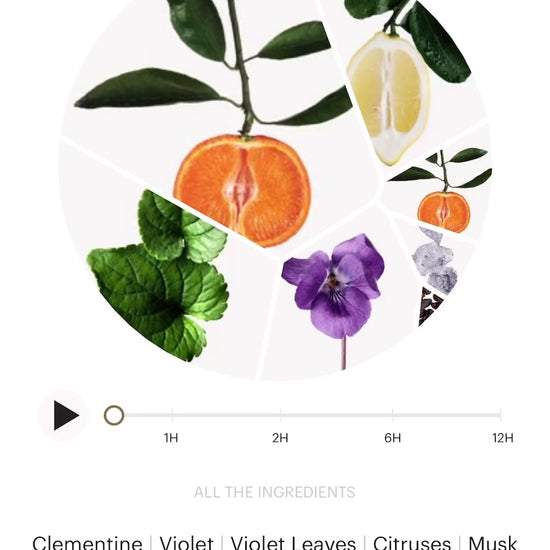 Visit for more: https://www.wikiparfum.com/en/fragrances/101-clementine-violet-flower-1