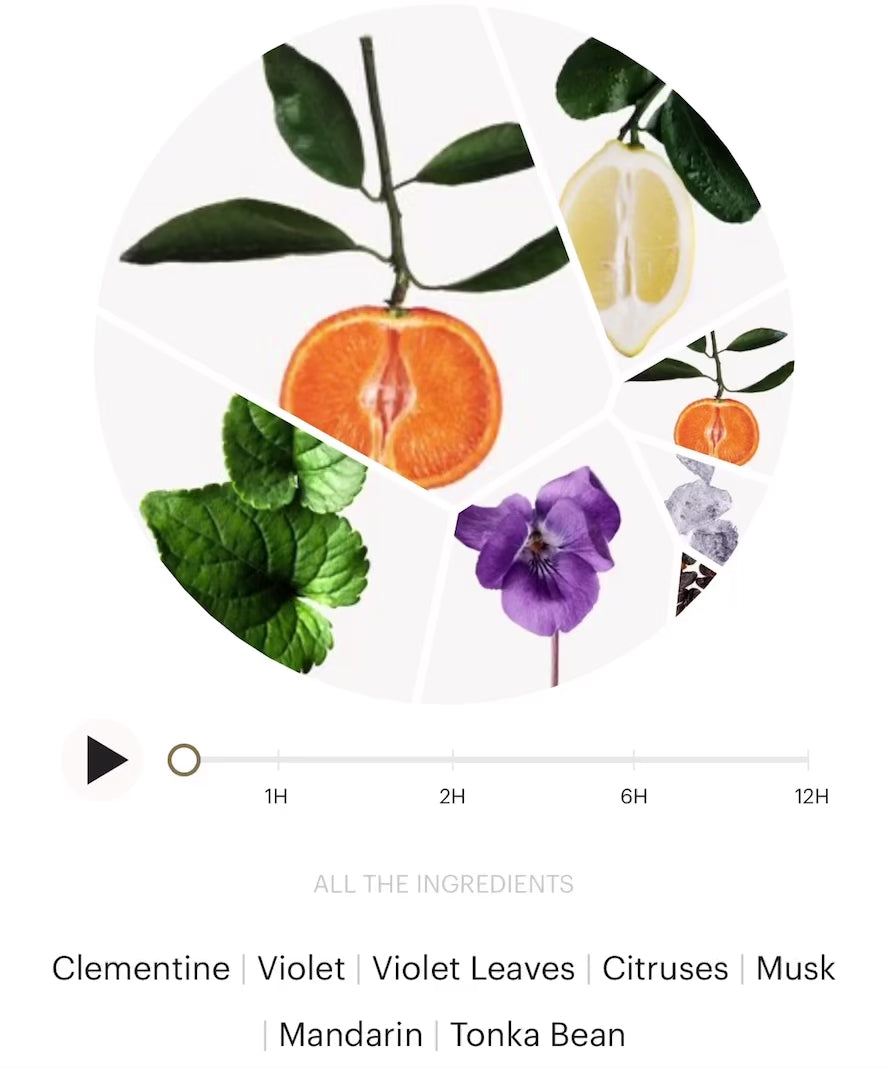 Visit for more: https://www.wikiparfum.com/en/fragrances/101-clementine-violet-flower-1